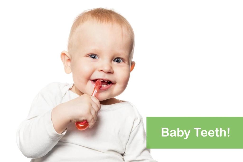 Baby Teeth