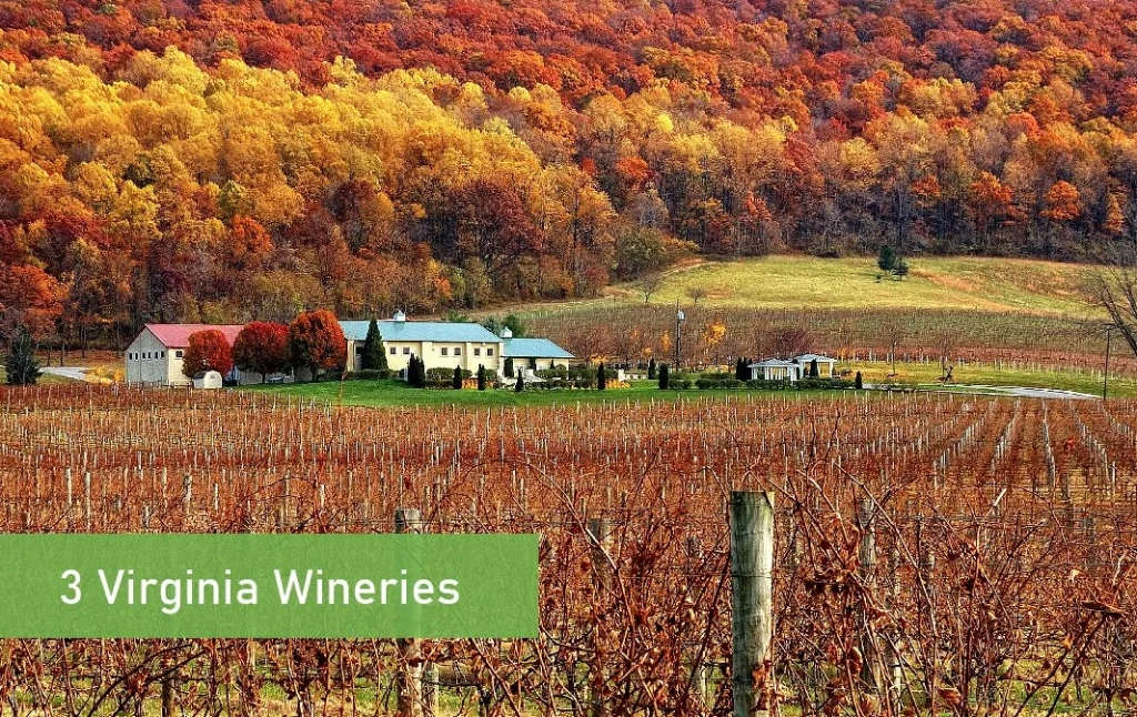 Virginia Wineries