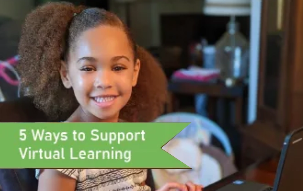 Ways to Support Virtual Learning